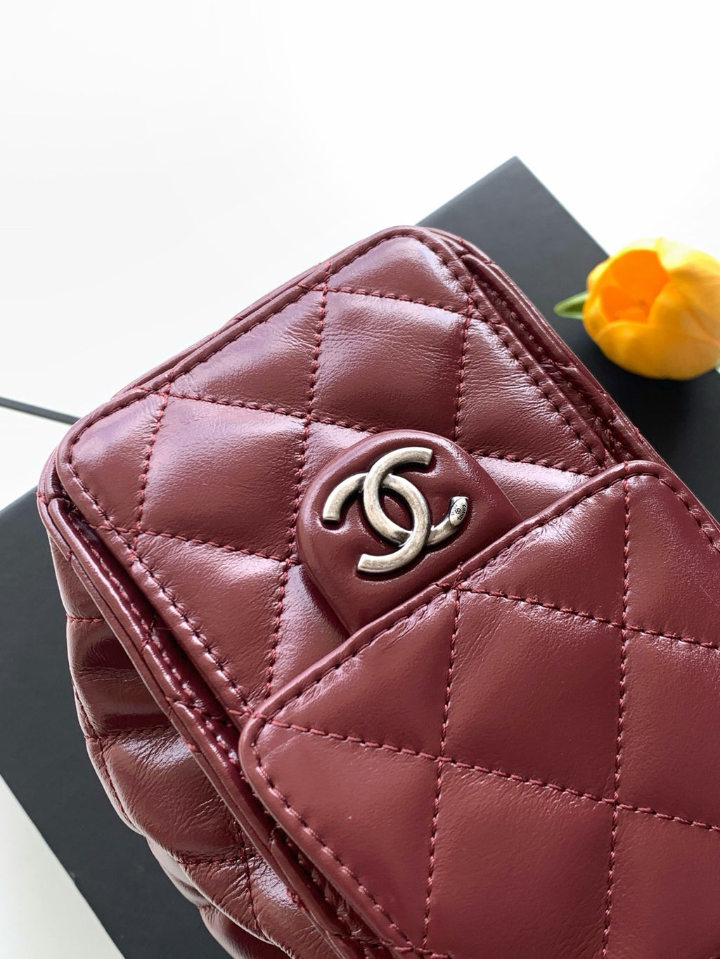 Chanel 25 Mini Handbag