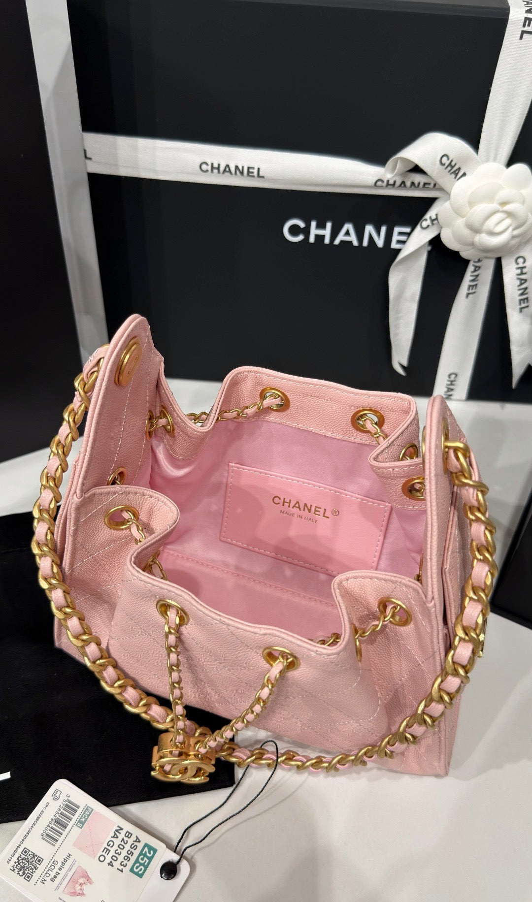Chanel 25 Mini Handbag