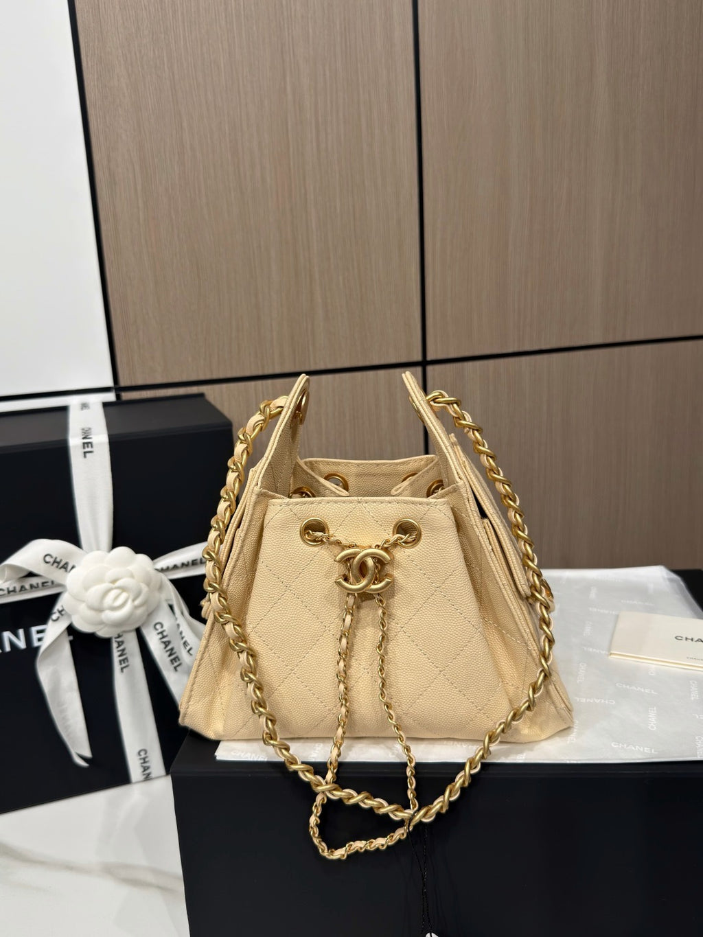 Chanel 25 Mini Handbag