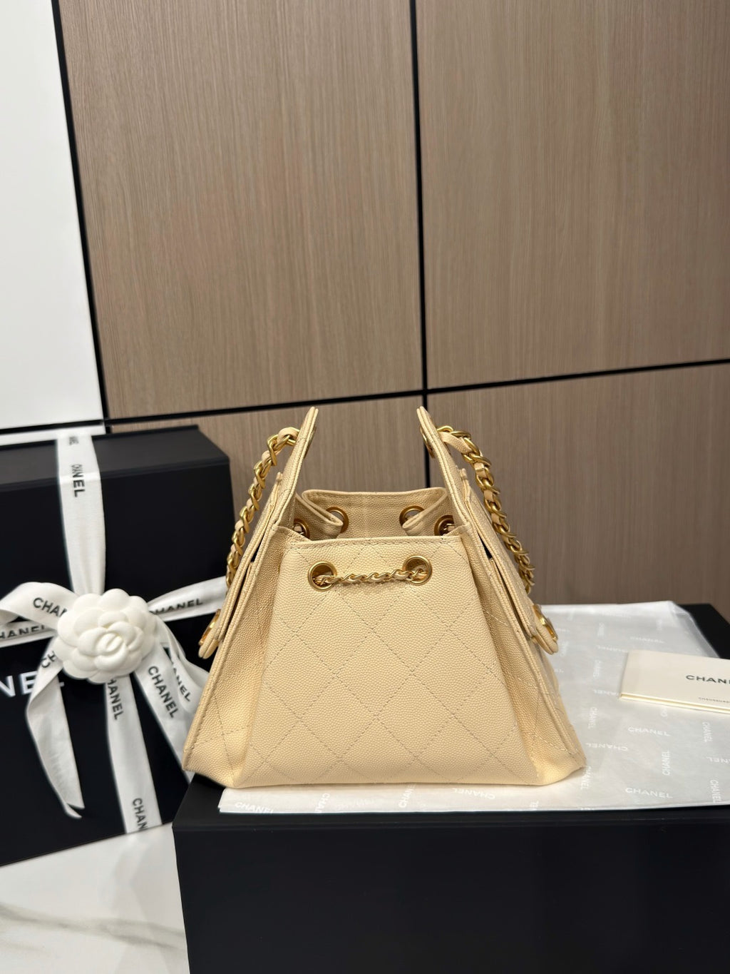 Chanel 25 Mini Handbag