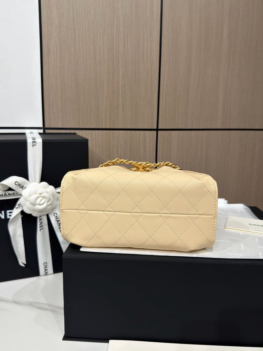 Chanel 25 Mini Handbag
