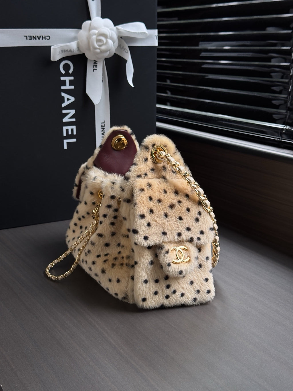 Chanel 25 Mini Handbag