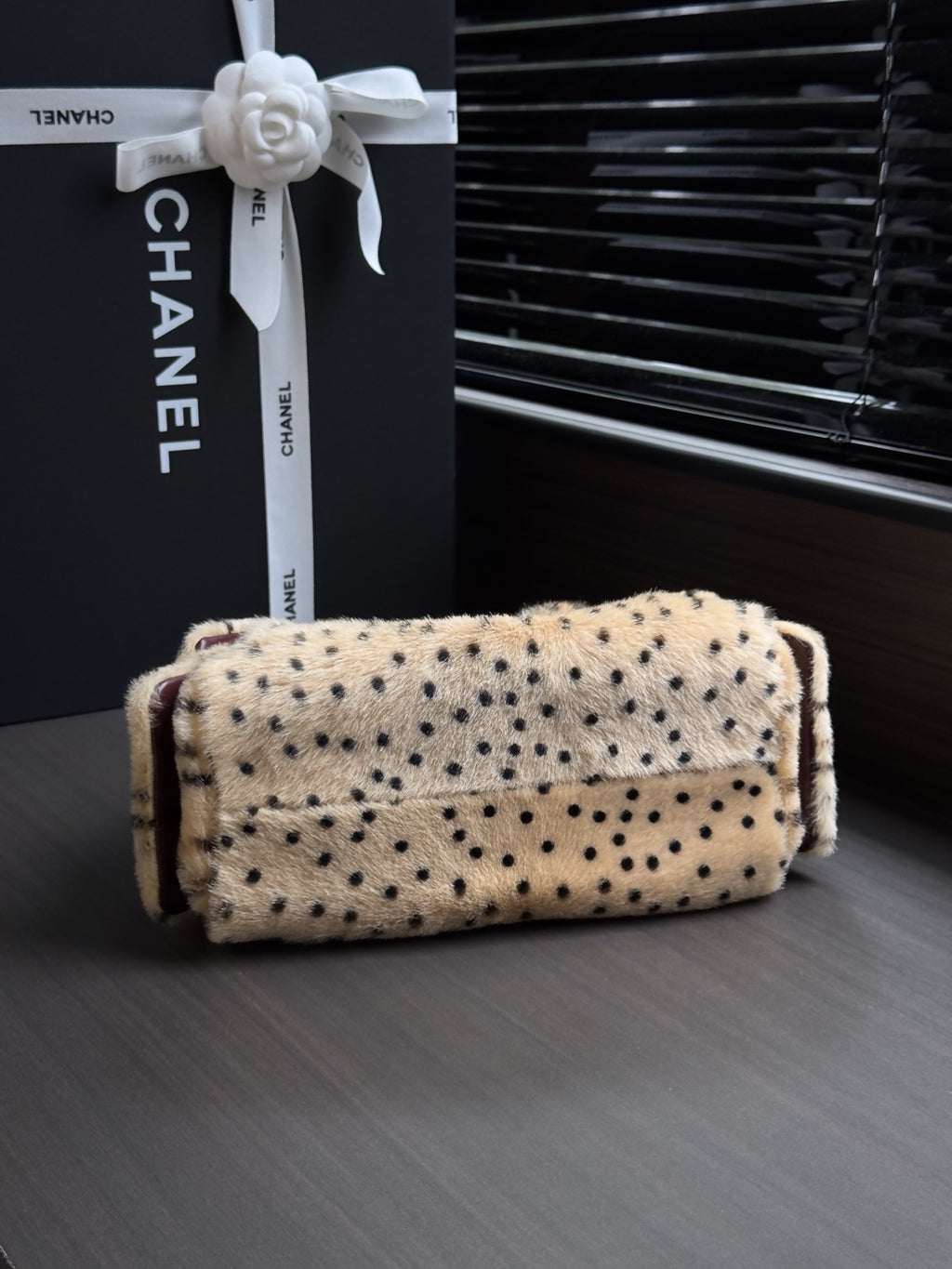 Chanel 25 Mini Handbag