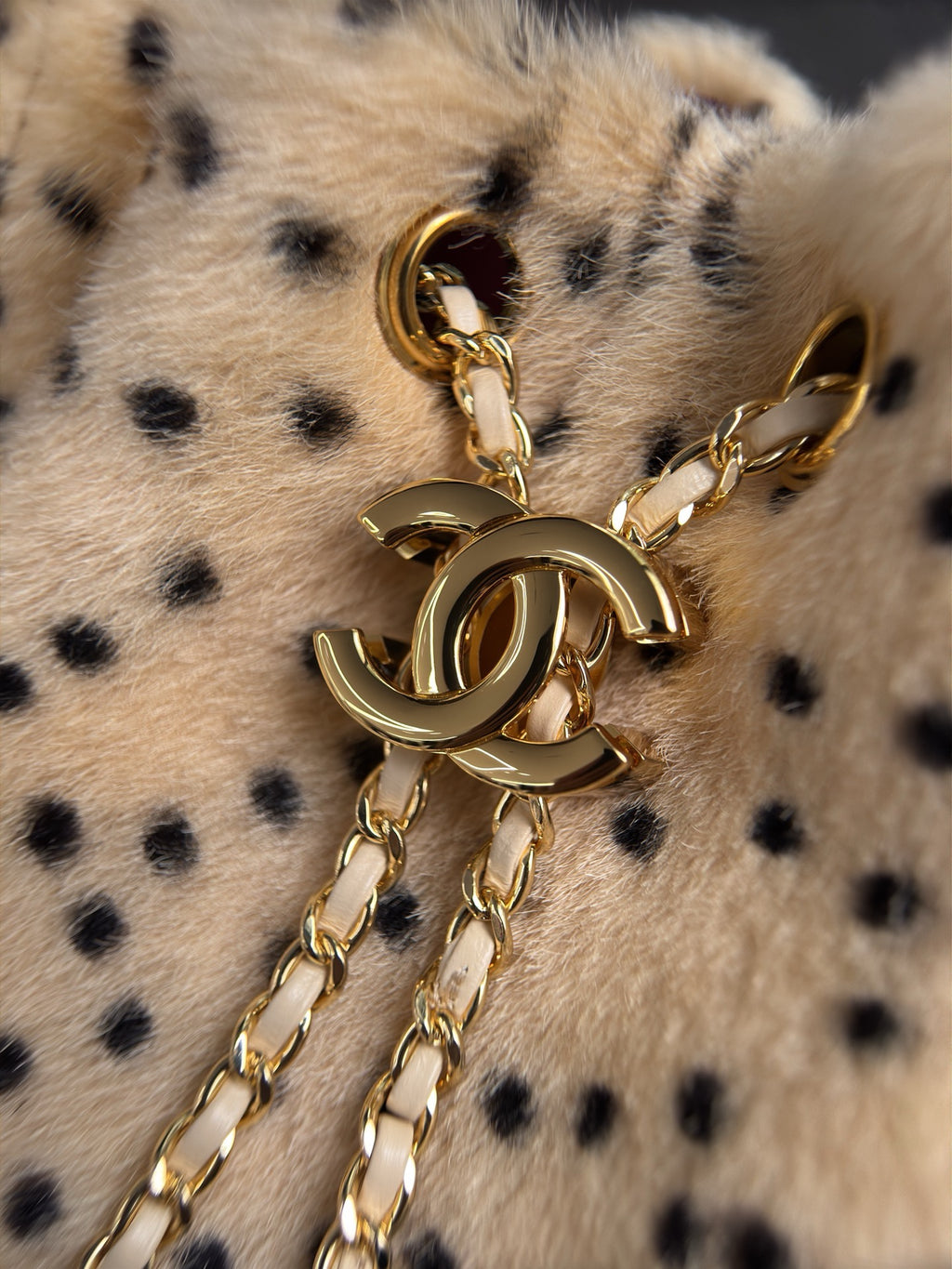 Chanel 25 Mini Handbag