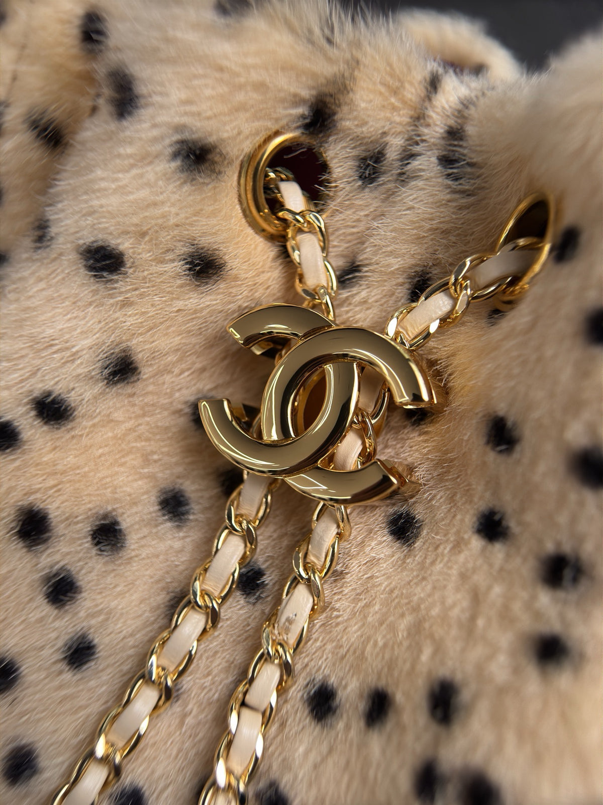 Chanel 25 Mini Handbag