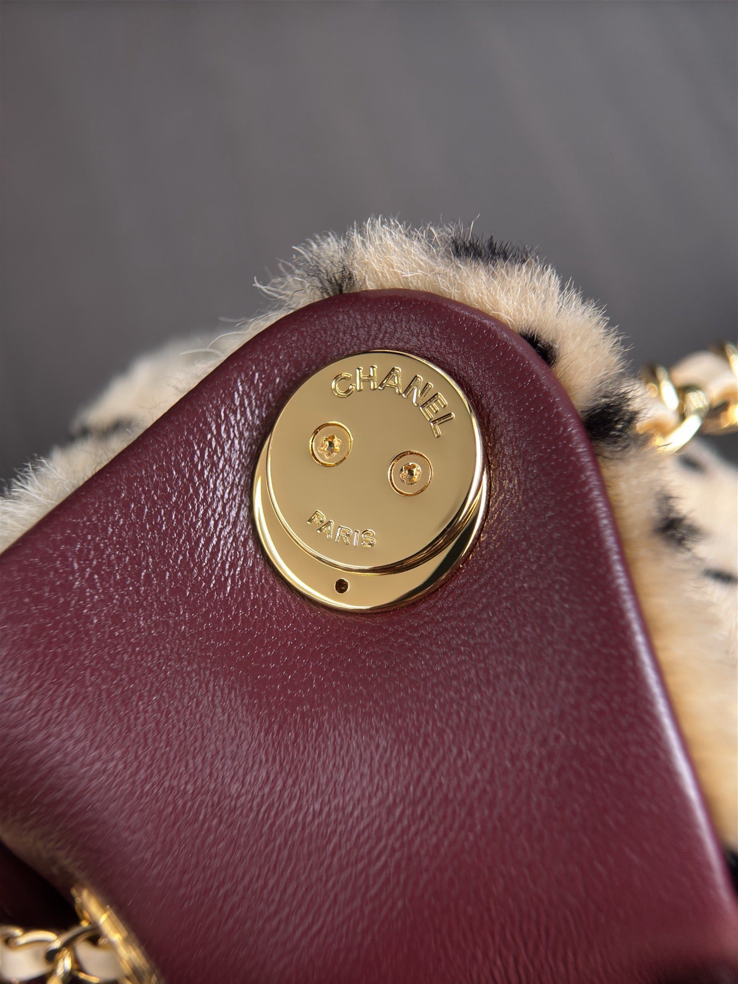Chanel 25 Mini Handbag